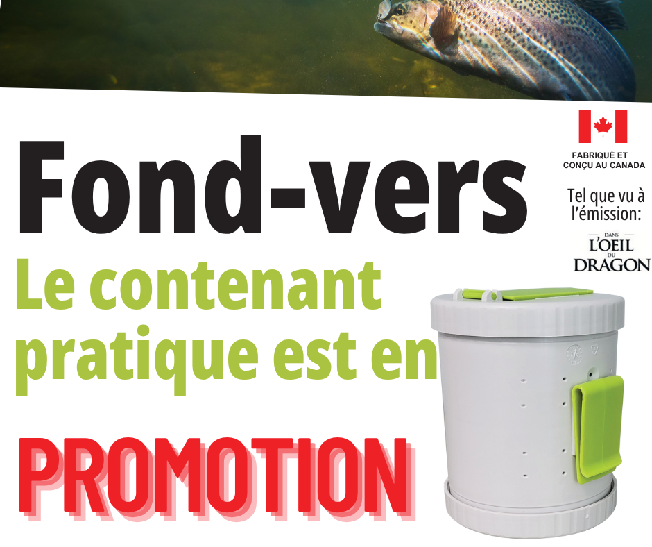 Fond-vers été 2025